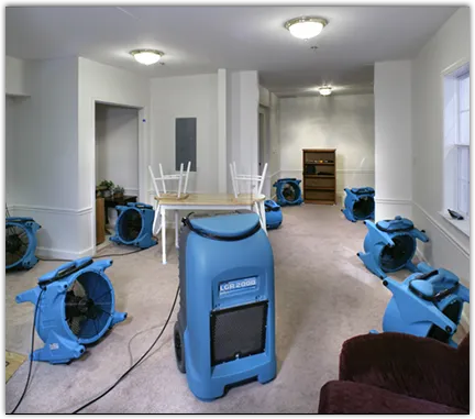 Water Mitigation Services in High Springs, FL