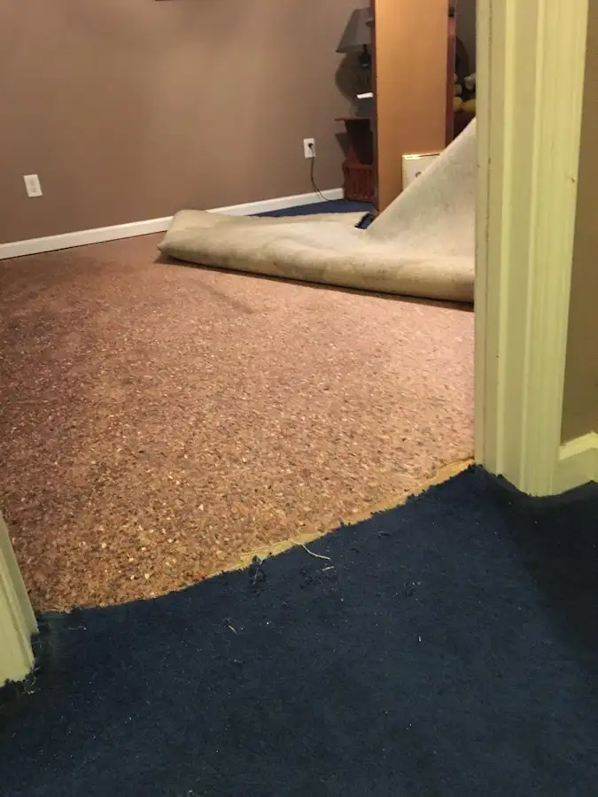 Carpet pad removal revealing water damage during Water Mitigation Services in High Springs