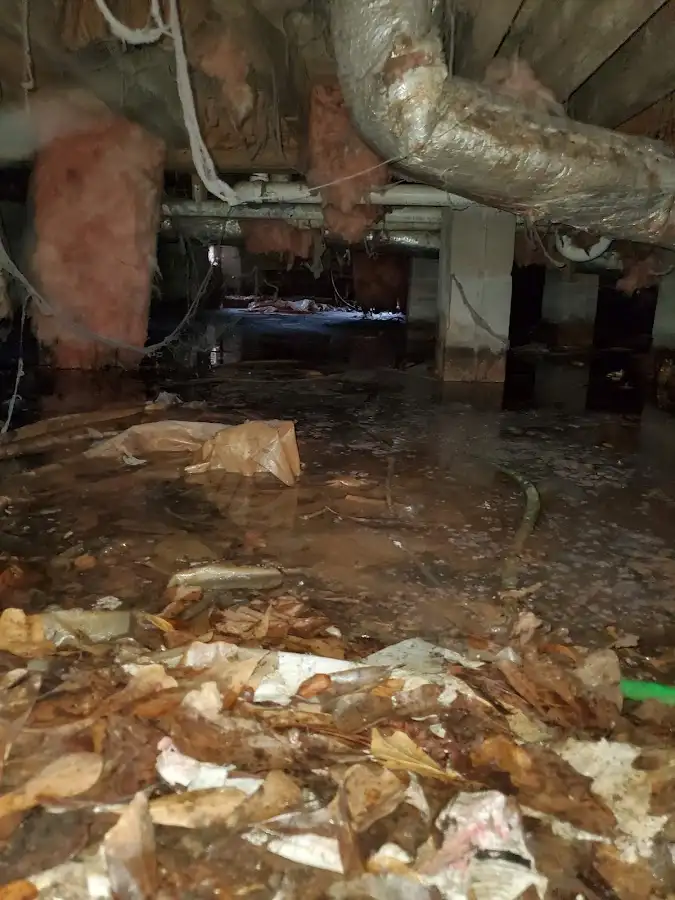 Crawl space flood assessment for Leak Detection & Repair in High Springs